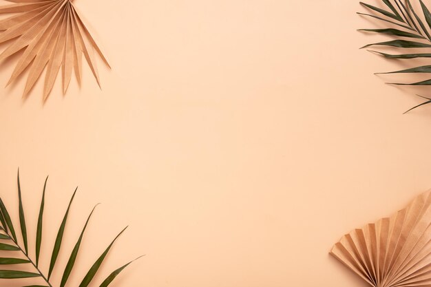 Decorative tropical palm dry leaves on beige background Copy space