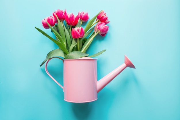 Decorative watering can with pink tulips on blue. Gardening concept.