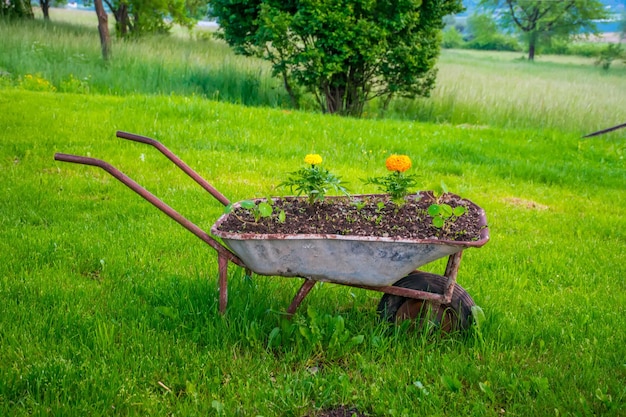 Decorative wheelbarrowflower bed is installed on the lawn in the hotel