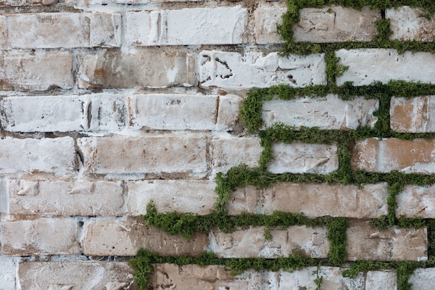 Decorative white brick wall with moss