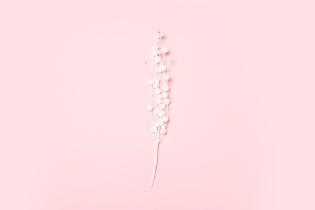 Decorative white flower on a pink surface. Concept home decor, decoration. . Flat lay, top view