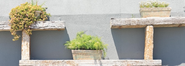 decorative wooden shelves with flowers