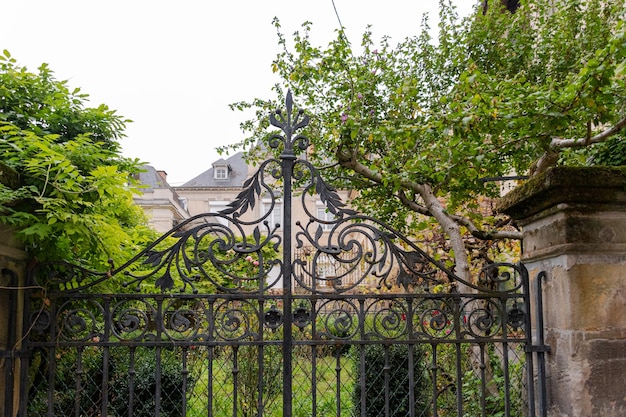 Decorative wrought fence with buildings background