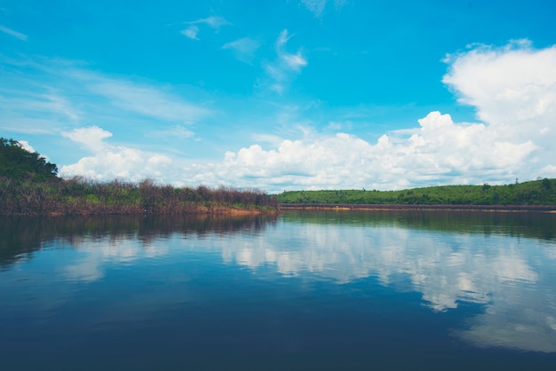 deel van watermeer, tropisch natuurlijk gebied