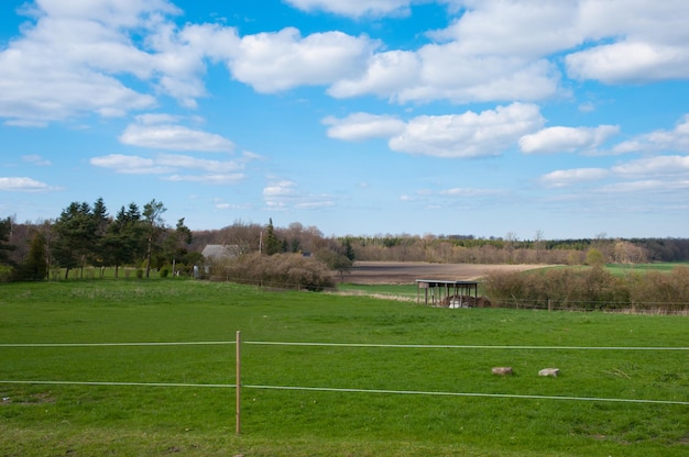 Deens agrarisch landschap nabij de stad Lidemark