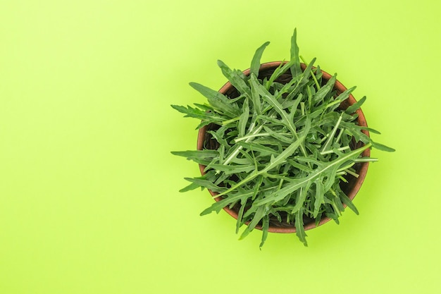 Deep bowl with lots of arugula on a green background Flat lay