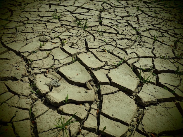 暑い気候と干ばつの象徴としての土地の深い亀裂砂漠とひび割れた地面不均一な膨張した地面空と死生態学的および自然のテーマケラレ