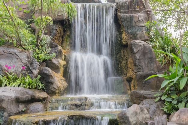 Deep forest Waterfall