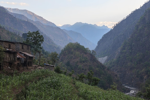写真 ヒマラヤの深い山の谷