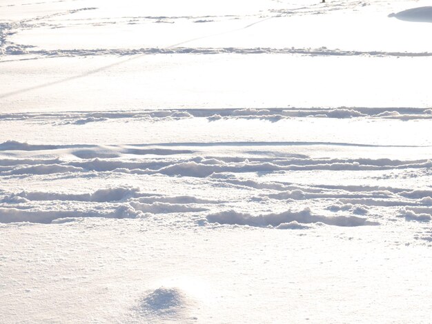 Deep trail in the snow sunny day