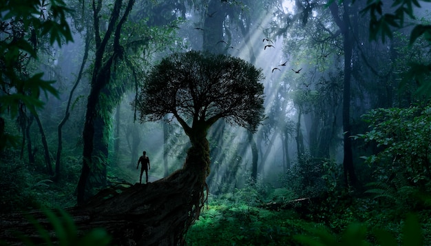 deep tropical jungles of southeast asia in august