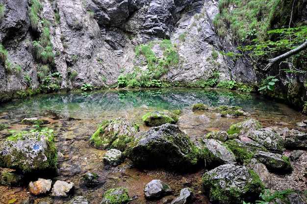 洞窟 の 深い 地下 の 泉