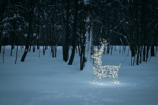 Photo deer among trees on snow covered field during winter