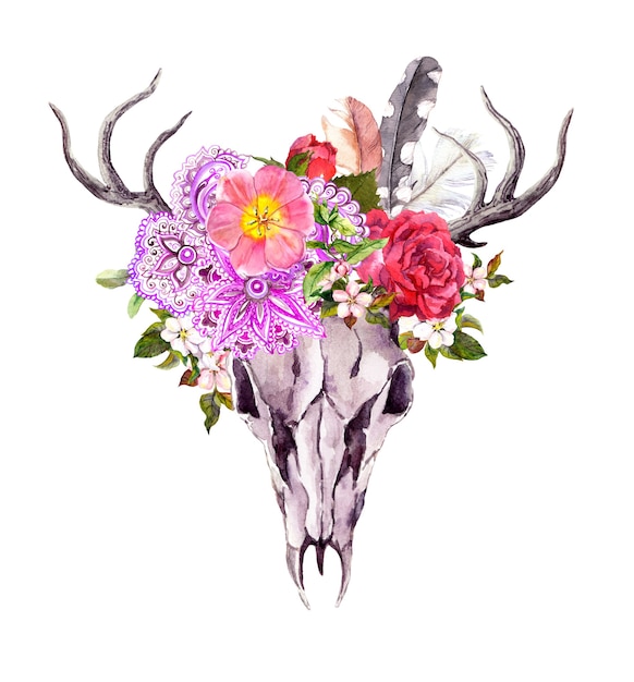 사진 꽃, 화려한 민족 디자인 및 깃털을 가진 사슴 동물 두개골. 빈티지 스타일의 수채화
