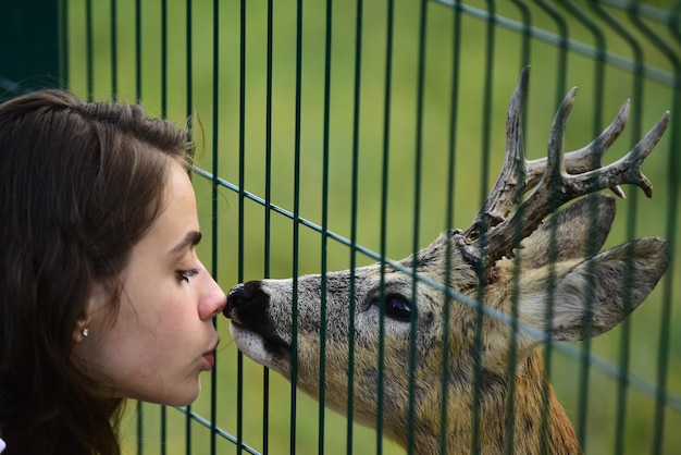 동물원 케이지에서 사슴 밤비 Whitetailed 알과 야생 동물 개념 소녀는 공원에서 새끼 사슴 carpeolus를 먹이