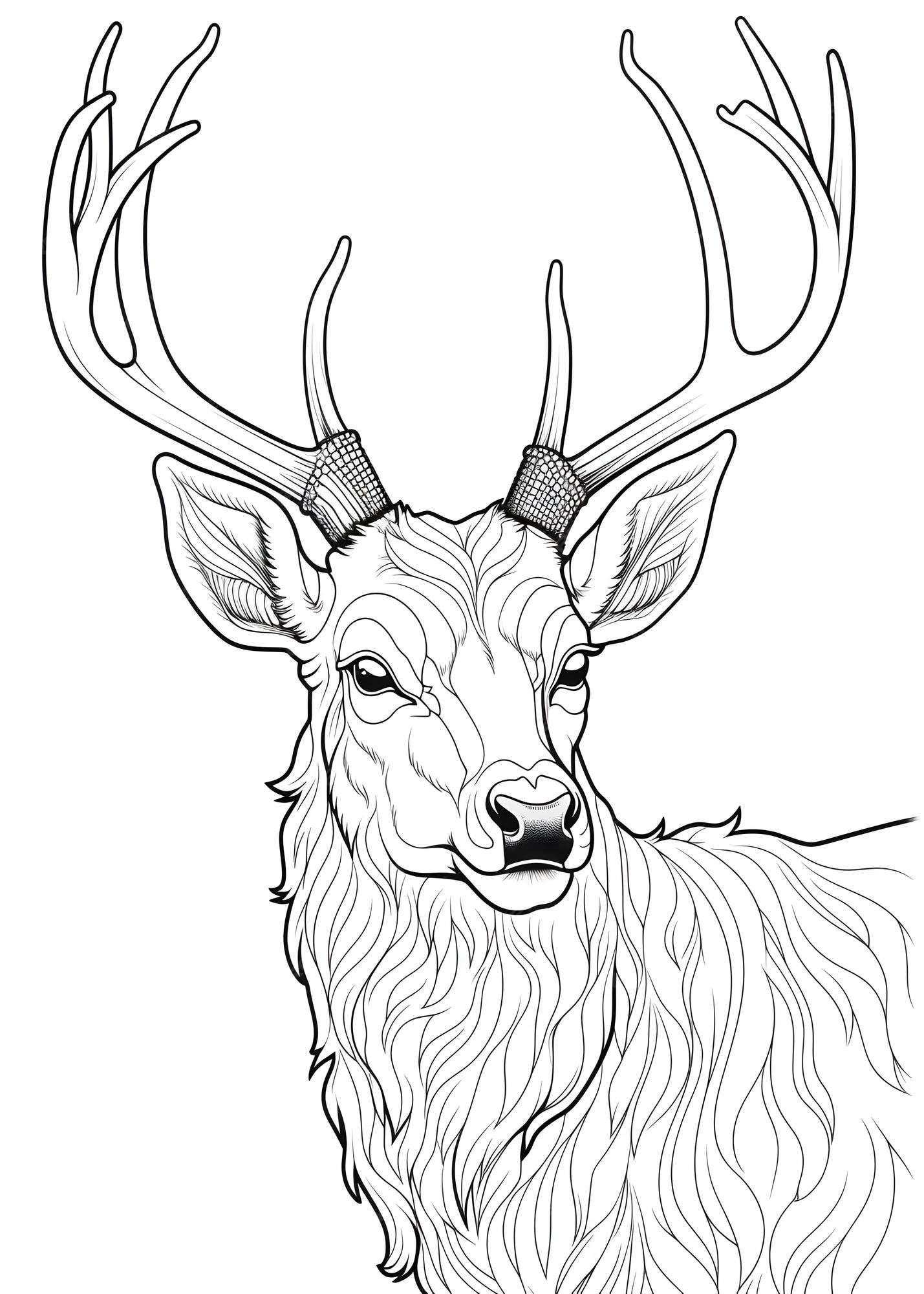 Deer Coloring Page Deer Line Art coloring page Deer Outline Drawing For