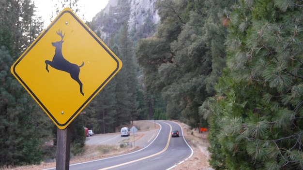 사슴 횡단 노란색 도로 표지판 캘리포니아 미국 야생 동물 싱 교통 안전
