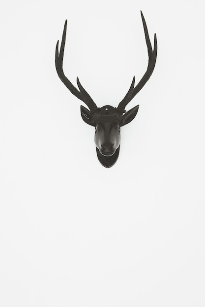 Deer head against white background