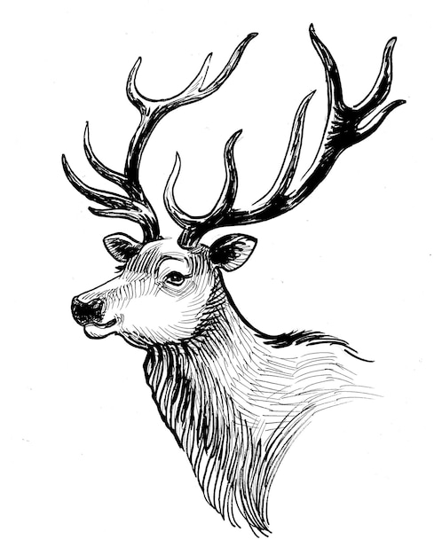 A deer with horns and horns on it