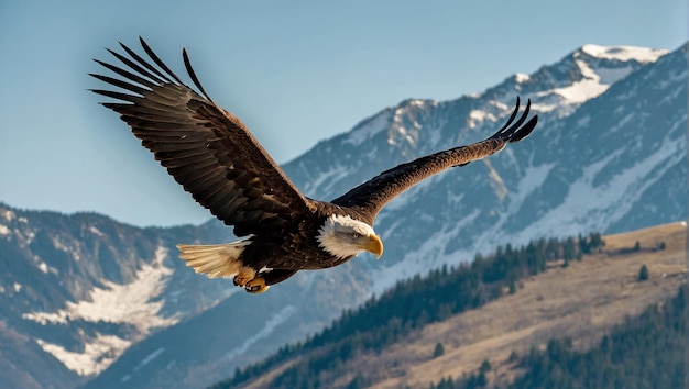 사진 기본 설정 산악 지대 위를 날아다니는 머리 독수리의 사진