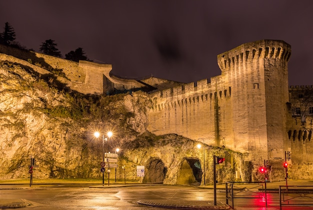 Defensive walls of Avignon