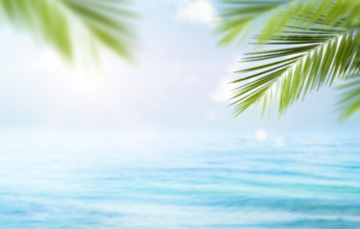 Photo defocus background of sea and palm leaves