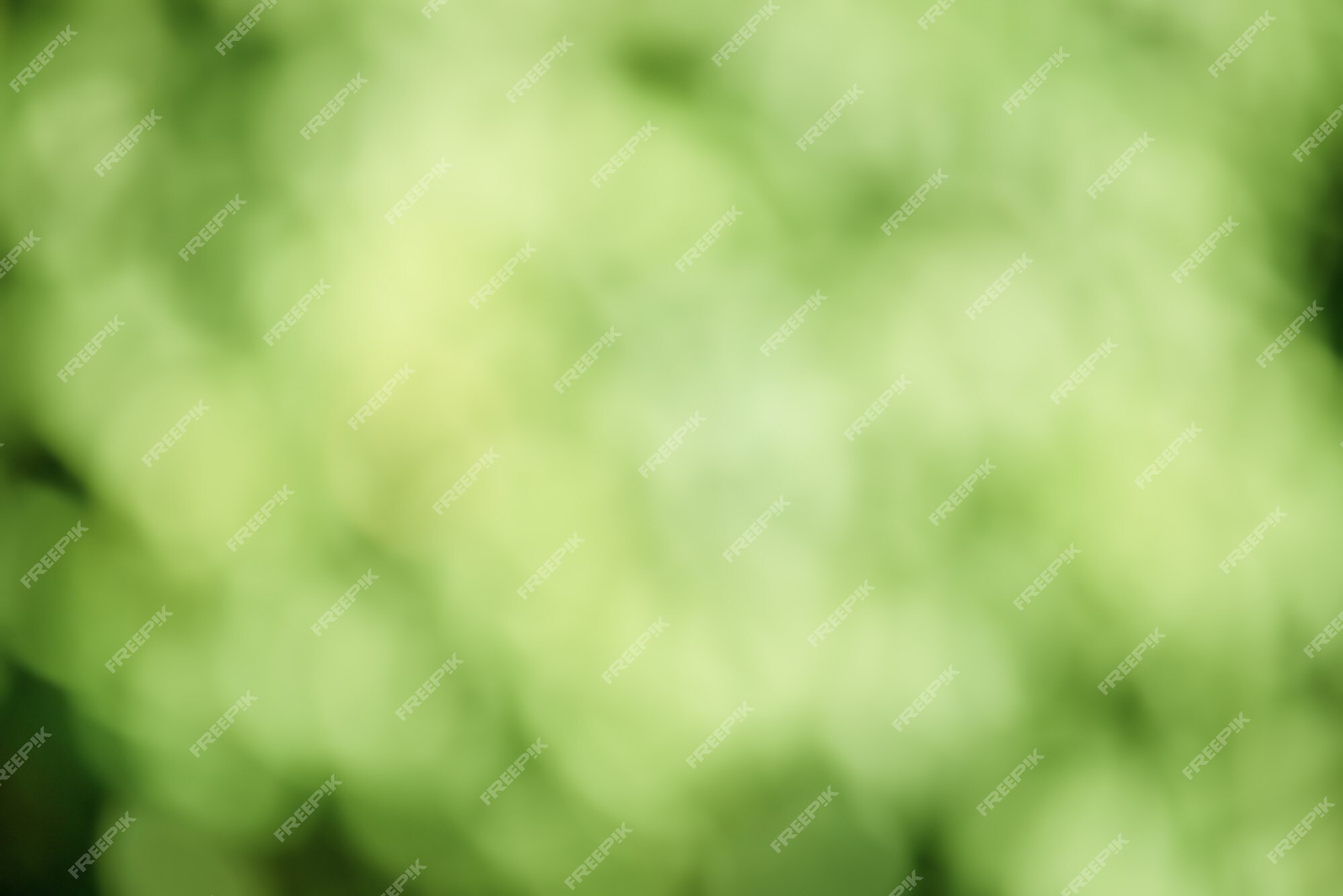 Premium Photo | Defocus light background. abstract background of blurry  green leaves on tree trunks.