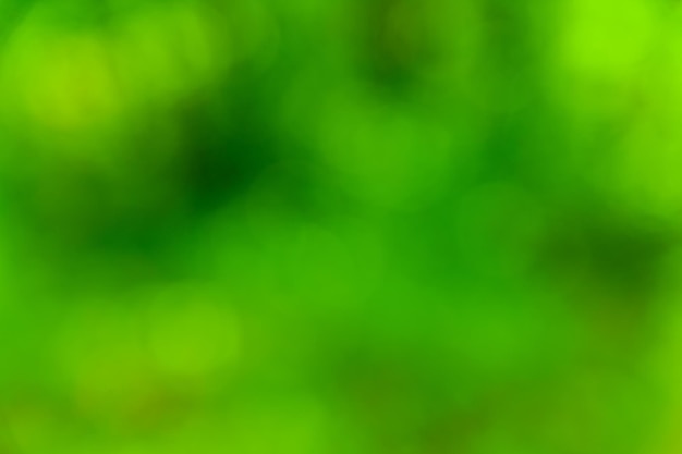 Defocused, abstract and blurred background. Green bokeh