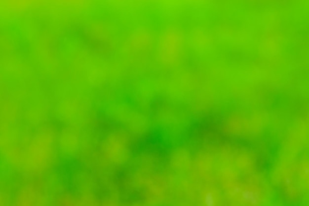 Defocused, abstract and blurred background. Green bokeh