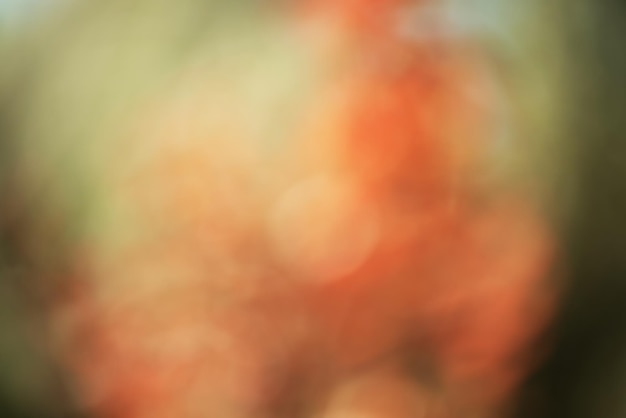 Defocused autumn red and green background Defocus light autumn leaves as an abstract background
