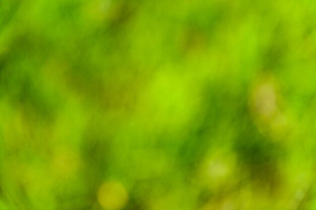 Defocused and blurred background Green bokeh