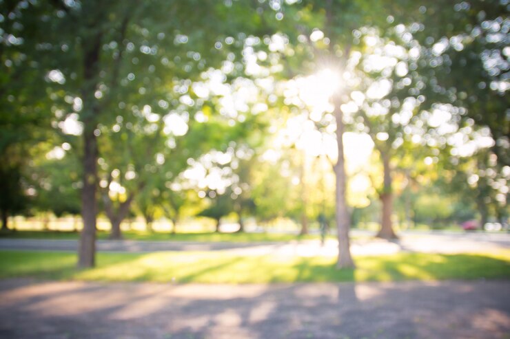 Photo 화창한 날에 꽃이 만발한 나무와 정원의 defocused bokeh 배경, 배경