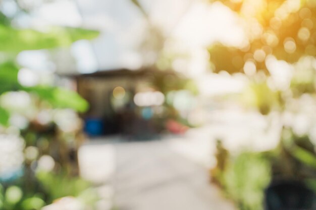 Photo defocused bokeh and blur background of garden trees in coffee shop with sunlight