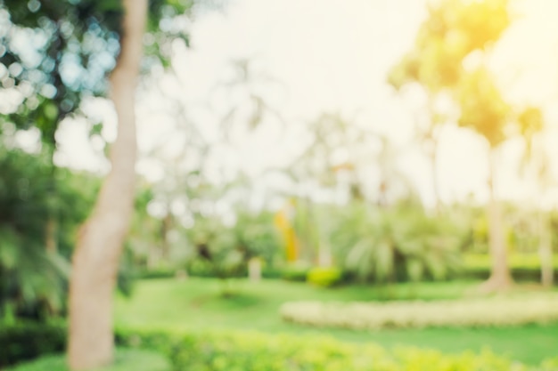 Defocused bokeh and blur background of garden trees in sunlight with vintage toned.