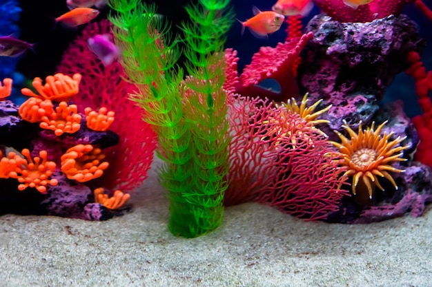 Defocused bottom of the aquarium with white sand and artificial decorations.