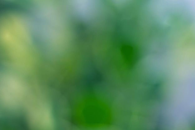 Defocused colorful background shades of green and blue