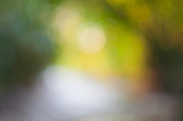 Defocused image of blurred background