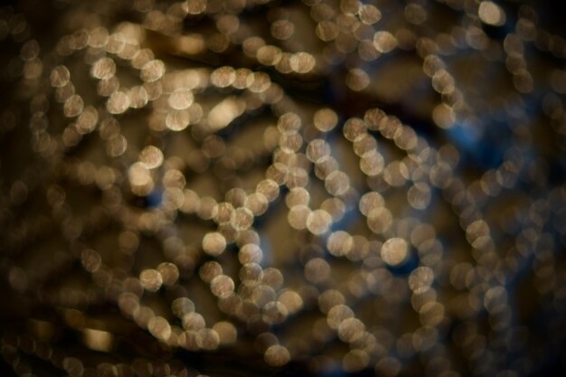 Defocused image of illuminated christmas lights