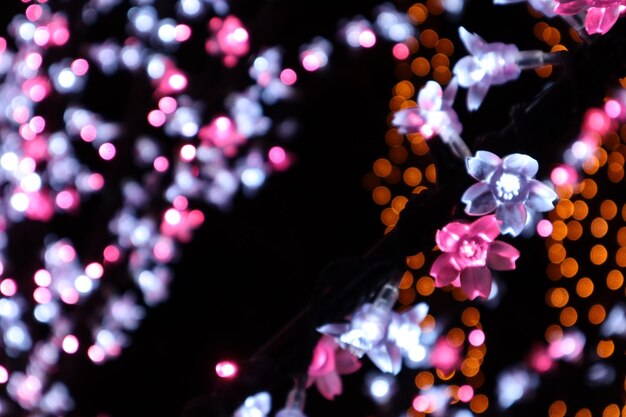 Photo defocused image of illuminated christmas lights