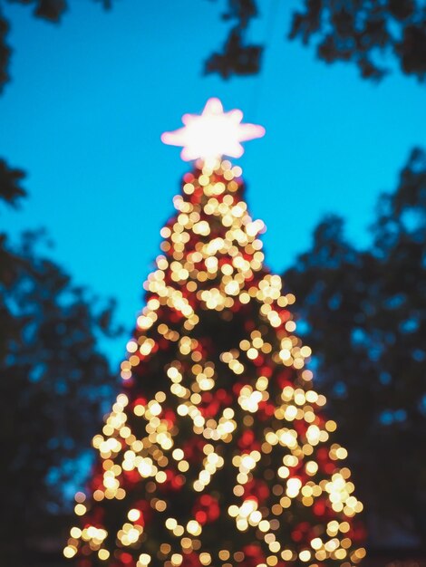 Foto immagine sfocata di albero di natale illuminato contro il cielo notturno