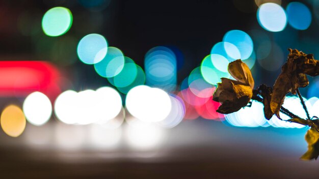 Defocused image of illuminated lights at night