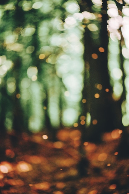 Photo defocused image of illuminated lights at night