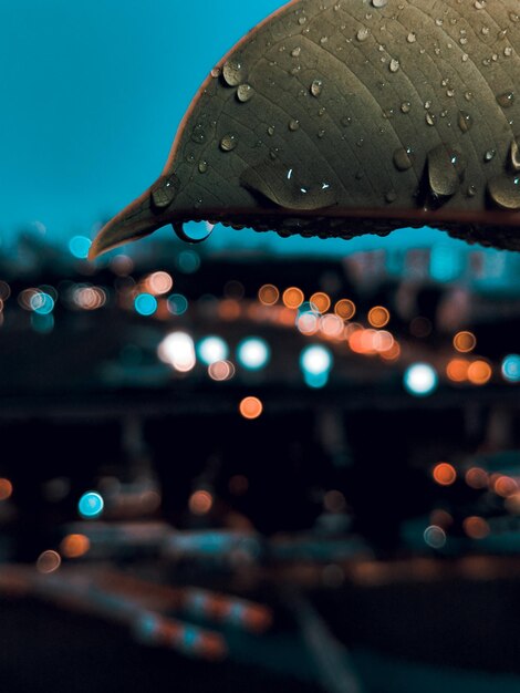 Photo defocused image of illuminated wet city during rainy season