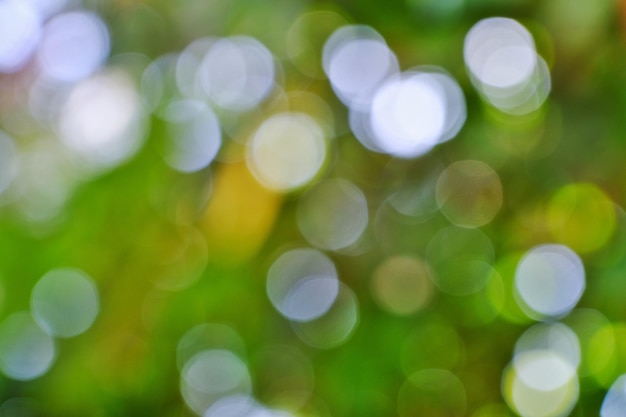 Defocused image of lights