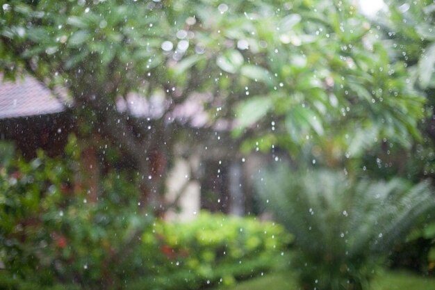 写真 雨の目立たない画像