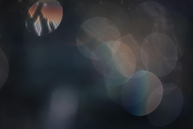 杉の木に落ちる雨の滴の不焦点な画像