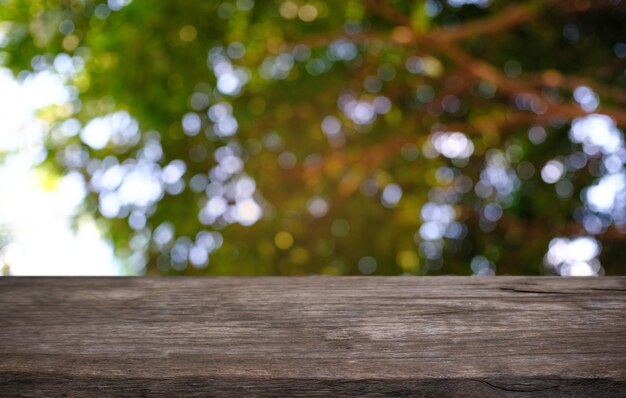 Defocused image of tree