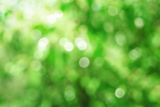 Defocused Lights and Sparkles green Background