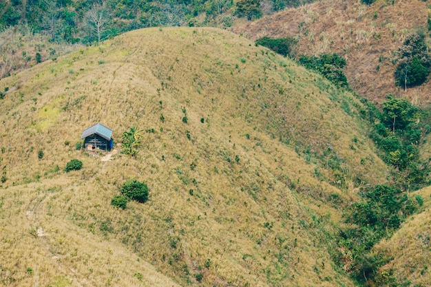  deforestation of destroyed huts and forests.