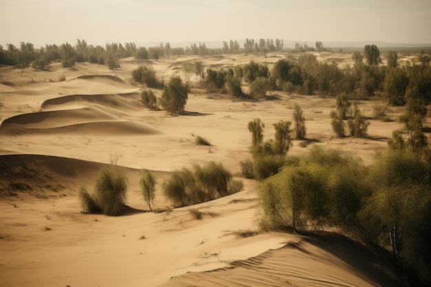 Photo a deforested landscape with barren trees and soil erosion the background symbolizes the impact of deforestation on climate change world environment day generative ai